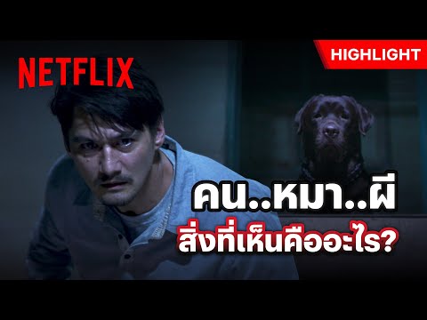 เรื่องประหลาด เห็นหมาที่ตายไปเดินอยู่ในบ้าน! - แดนสาป | Netflix