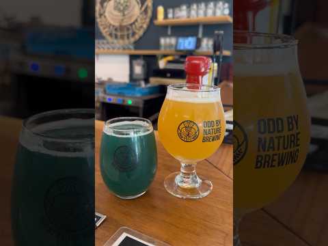 Odd by Nature Brewing @ Cape Neddick, ME