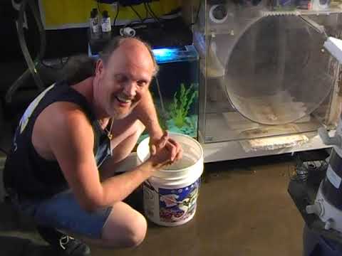 Sea Horse Wrangler, LA Fishguys, Episode 34, Part 1