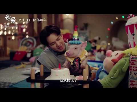 《宠爱 Adoring》2019“爱我还是它篇”電影预告 | 于和伟 吴磊 张子枫 钟汉良 陈伟霆