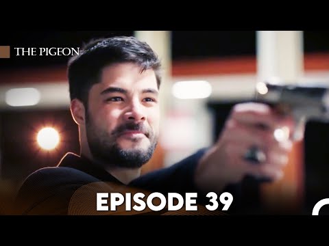 The Pigeon Episode 39 (FULL HD)