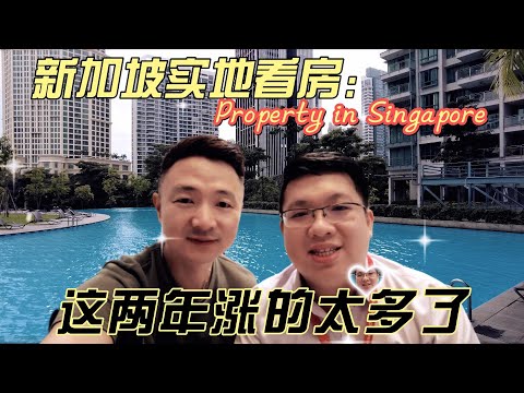 新加坡公寓太贵了，但是也太美了。今天看了一套预售房，一套二手房，你也看看吧，告诉我你的想法。