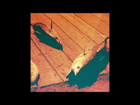 Celer || Hell Detoured (2010) Full Album