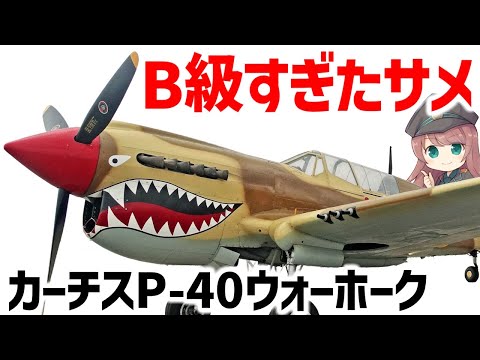 【兵器解説】戦闘力B級すぎたサメ戦闘機・カーチスP-40ウォーホーク、数が多くそれなりに活躍したやつ