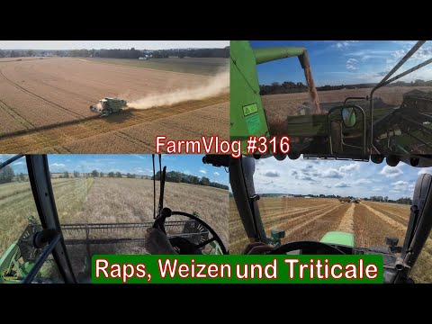 Farmvlog #316: Raps Triticale und Weizen dreschen