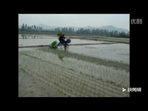 6 Rows automatic rice transplanter with low price