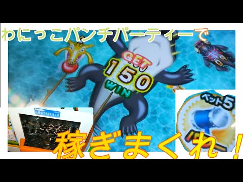 モーリーファンタジーで1000円から1500枚に増やす！！　ワニッコパンチで稼ぎまくり！？　part２