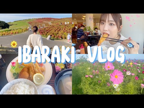 【Vlog】茨城満喫〜🐟🌷国営ひたち海浜公園で自然に癒されてきた🍂