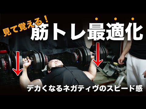 実際にやってみた！筋肥大するネガティヴワーク(下げ方)のスピード感