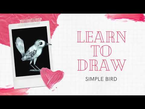 how to draw birds step by step for beginners | Pencil Drawing | Creative Paradise