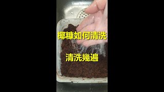 233 椰糠怎样水洗？洗几次合适？用专业检测笔告诉你答案 --- 投筆從農朱叫獸 365挑戰之233