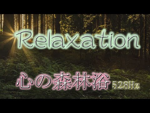 【528Hz】心の森林浴★安眠★瞑想★リラックス★木々が揺らめく自然音と小鳥の声【ソルフェジオ周波数】