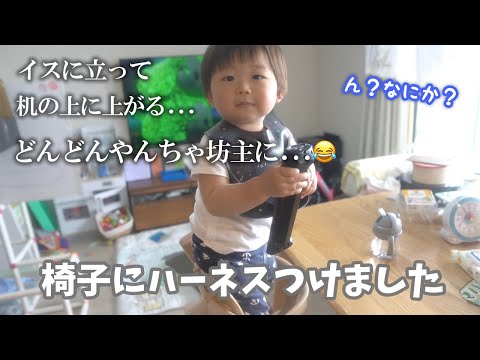 やんちゃが増してきた１歳息子の椅子にハーネスつけてみた反応は？