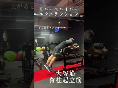 GHDを用いたトレーニング④リバースハイパーエクステンション