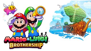 Mario and Luigi's 5/10 Blundership