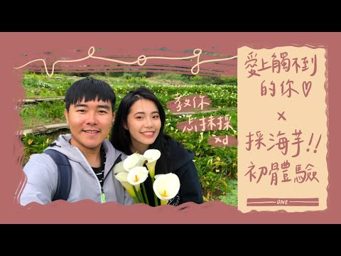 興心vlog1 ┃寇弟粉必看、採海芋初體驗