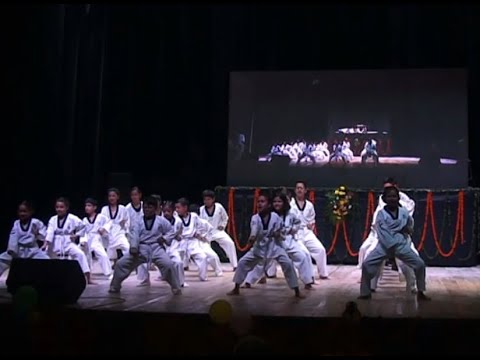 Taekwondo demonstration on Parents Day Function ! #bharatbharati #bestschool #kullumanali #aani