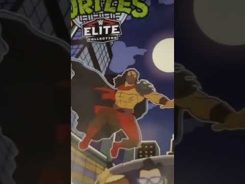 Roman reigns teenage mutant ninja turtles figure review and unboxing