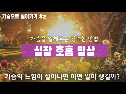 심장 호흡 명상 - 가슴을 일깨우는 강력한 방법 | 가슴의 느낌이 살아나면 어떤 일이 생길까?