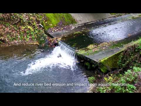 Nestlé’s Helping Create a Positive Water Impact l Petit Vair River Renaturation