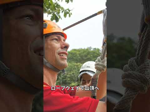 【旅行】琵琶湖１日観光プラン！（滋賀県） #湖 #近江八幡 #近江牛 #白鬚神社