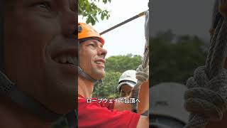 【旅行】琵琶湖１日観光プラン！（滋賀県） #湖 #近江八幡 #近江牛 #白鬚神社