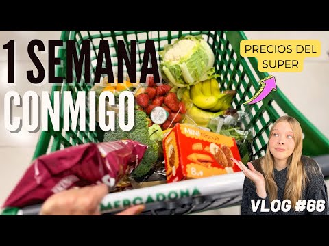 ASÍ SE PREPARA PALMA PARA PASCUA 🐣 | Palma de Mallorca - Marzo 2024 | Vlog #66