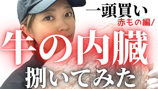 【必見！】ホルモン好きのための動画