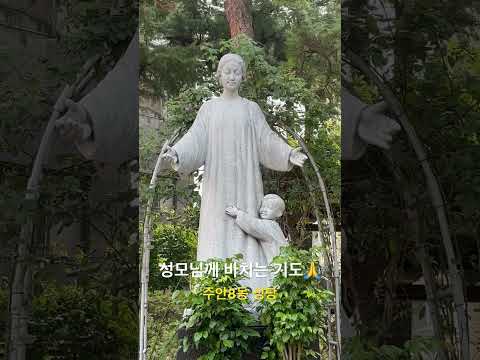 성모님께 바치는 기도🙏