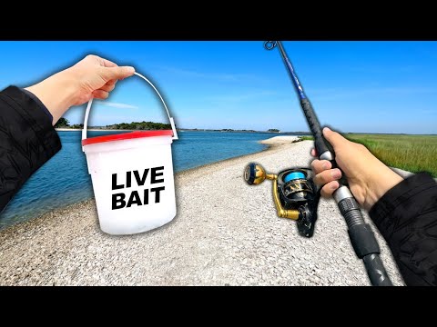 Eating Whatever I Catch.. Fishing an ISLAND! (Catch and Cook)