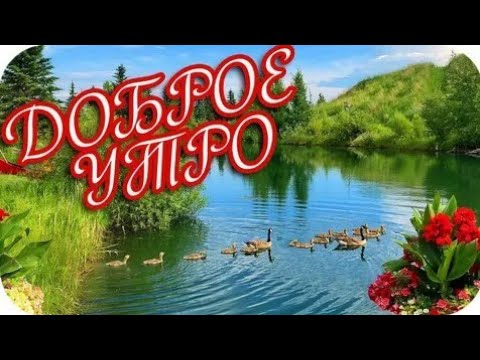 С добрым утром Лето! Классная песня!Яркая Музыкальная открытка! Пожелания хорошего дня и настроения!