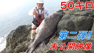 クエ【アラ】 50キロ巨大アラ第二弾‼ 未公開映像と裏話