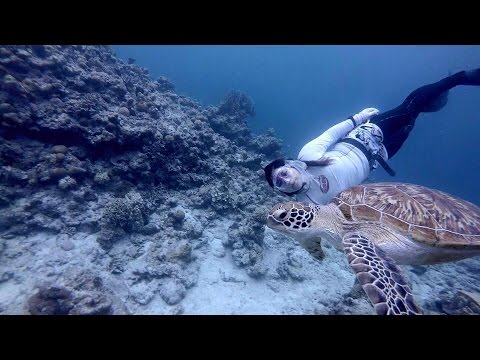 Freediving - Play with turtles! - Okinawa, Amuro, April 2015