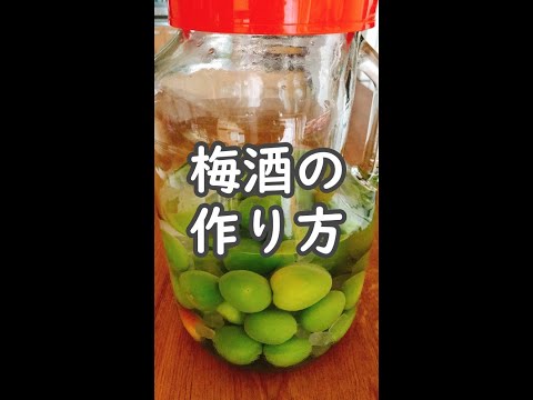 【梅仕事】梅酒の作り方 #shorts #梅酒の作り方 #梅仕事 #梅酒作り方 #梅酒レシピ