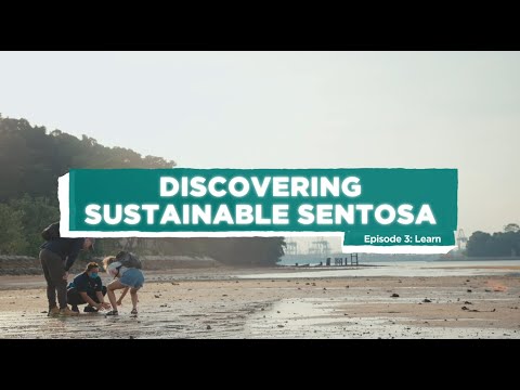 Discovering Sustainable Sentosa Ep. 3: Learn