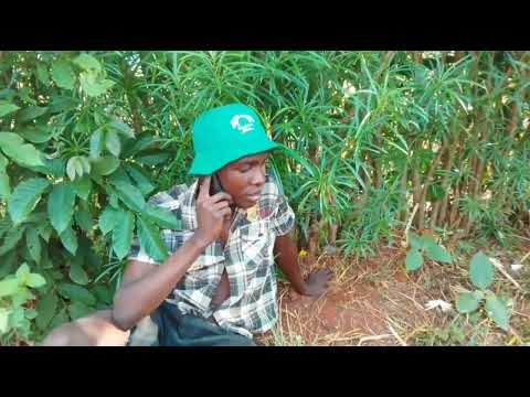 Best zangu waliiba simiti na chuma Kwa kampuni yetu,tukafutwa kazi"Receiving call from classmate."