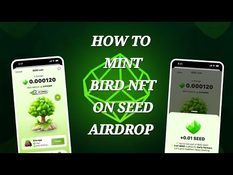 HOW TO SUCCESSFULLY MINT SEED NFT