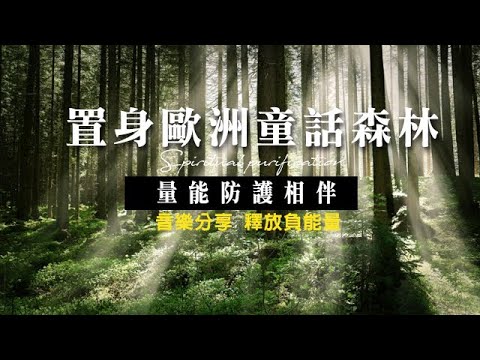 《置身歐洲森林》東眼山大自然森林浴｜soul relieve stress｜沉浸大自然芬多精 explore forest 療癒心靈紓壓 純音樂分享版 森林 釋放負能量 鋼琴聲 美容芳療鋼琴音樂