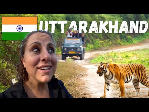 THIS National Park has the MOST TIGERS in INDIA 🇮🇳 (Uttarakhand)