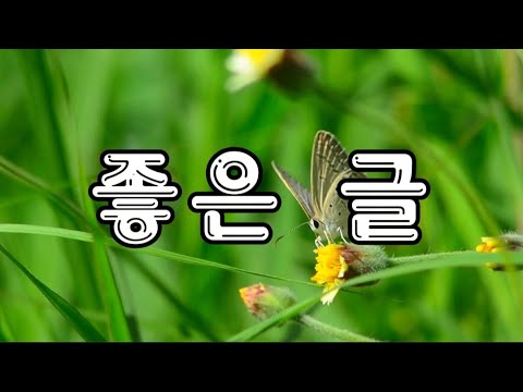 귀감이 되는 글