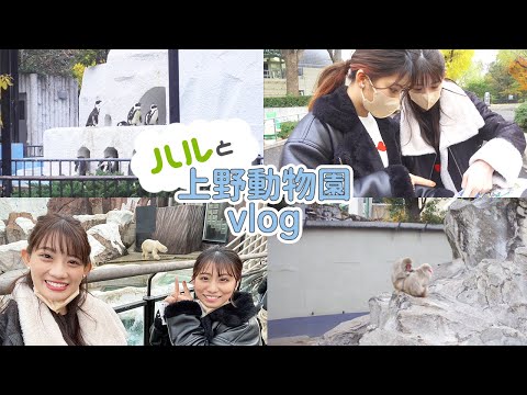 【vlog】メンバーのハルと上野動物園に行ってきました🐼💕