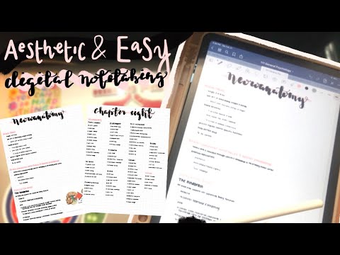 How I Take Notes on my IPad! Aesthetic & Easy!