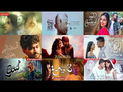 2024 New Trending Songs Collection | 2024 හිට් කරපු සුපිරිම සිංදු ටික | Trending 2024