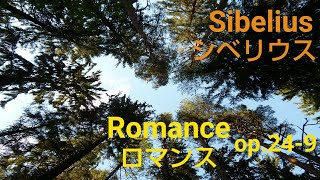 Ayane Matsuura - Sibelius: Romance op.24-9 / 松浦綾音 - シベリウス：ロマンス 作品24-9