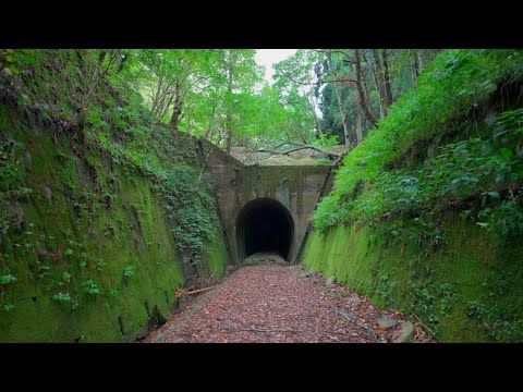 Walking Former Hokuriku Line Yamanaka Tunnel Japan [4KHDR]散策 旧北陸線山中トンネル 福井