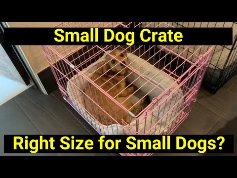 Good for Small Dogs? Carlson Dog Crate in PINK!