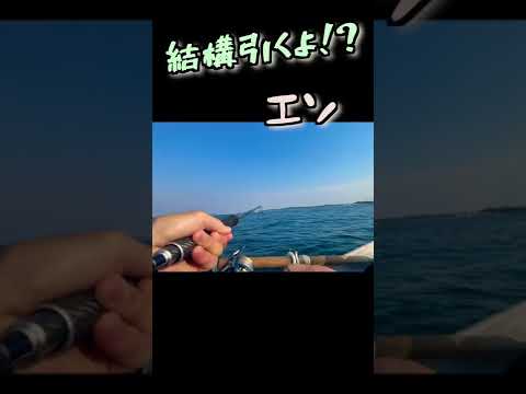 夏の始まりを告げる魚を釣る#釣り #ボートフィッシング #ルアー #ルアーフィッシング