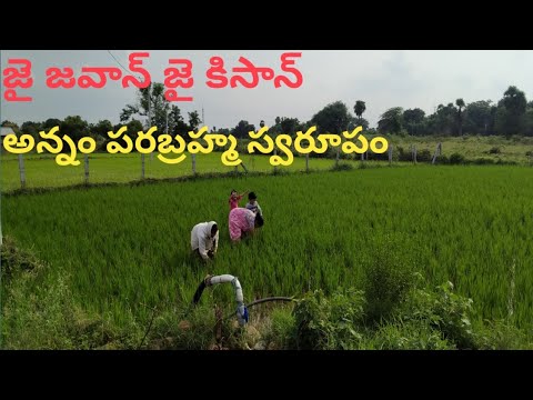 సరదాగా కాసేపు || జై జవాన్ జై కిసాన్ || అన్నం పరబ్రహ్మ స్వరూపం || don't waste food