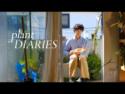 Plant Diaries | plant care, wholesome days, my fav nursery