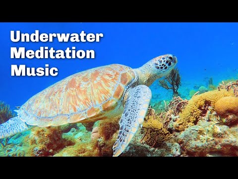 Underwater Meditation Music | Relaxation Film | Curacao Diving 4k